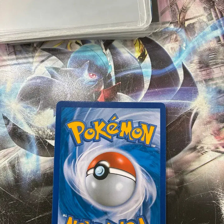 [BUNJANG] Pokemon Card Tag Team Celebi &amp; Venusaur GX Special Set / 포켓몬카드 태그팀 세레비&amp;이상해꽃 GX 특일