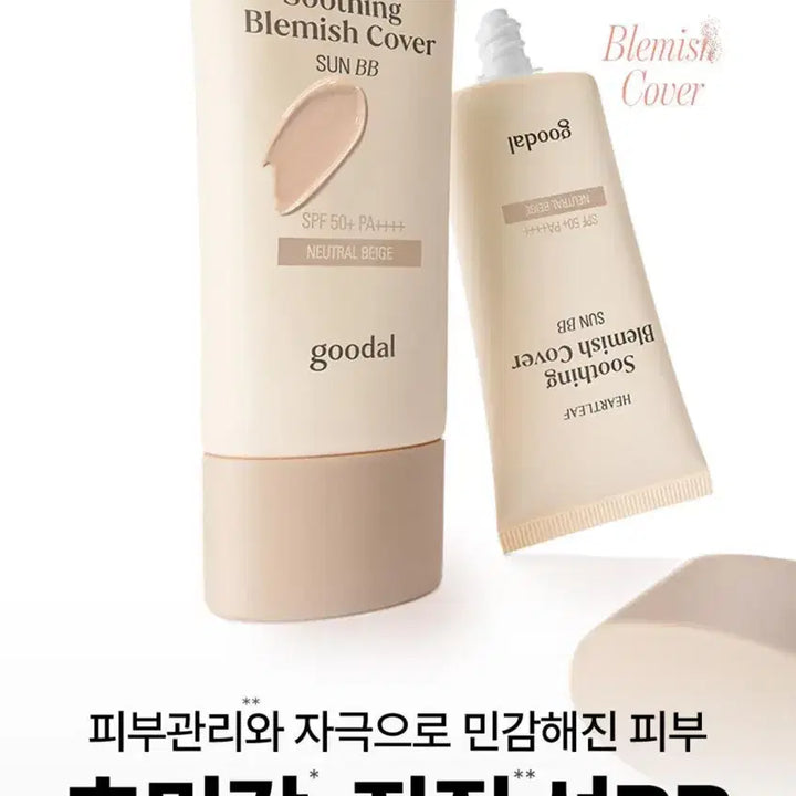 [BUNJANG] Goodal Houttuynia Cordata Calming Blemish Cover Sun BB Neutral SPF50+ PA++++ / 구달 어성초 진정 블레미쉬 커버 선비비 뉴트럴