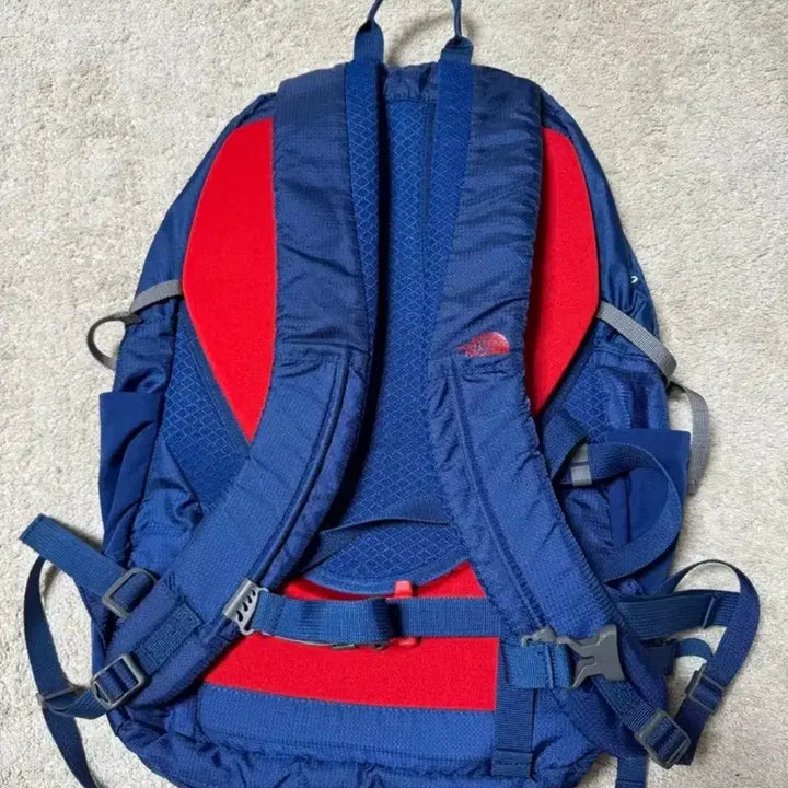 [BUNJANG] The North Face Daily/Hiking Backpack with Air Circulation Back Panel / (상태SS) 노스페이스 데일리/등산 등판공기순환 백팩 (34*43)