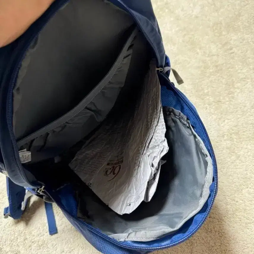 [BUNJANG] The North Face Daily/Hiking Backpack with Air Circulation Back Panel / (상태SS) 노스페이스 데일리/등산 등판공기순환 백팩 (34*43)