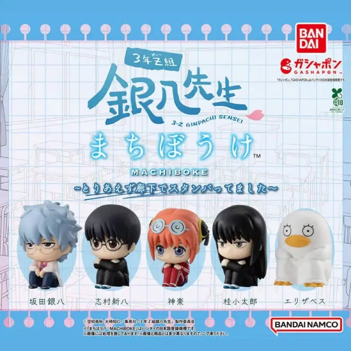 [BUNJANG] Gintama 3Z Sakata Gintoki Sealed / 은혼 삼젯 마치보케 사카타 긴토키 미개봉