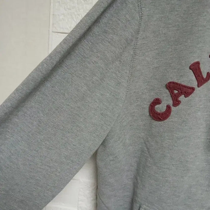 [BUNJANG] Who.A.U California Hoodie Gray L / [Who.A.U] 후아유 캘리포니아 후드집업 그레이
