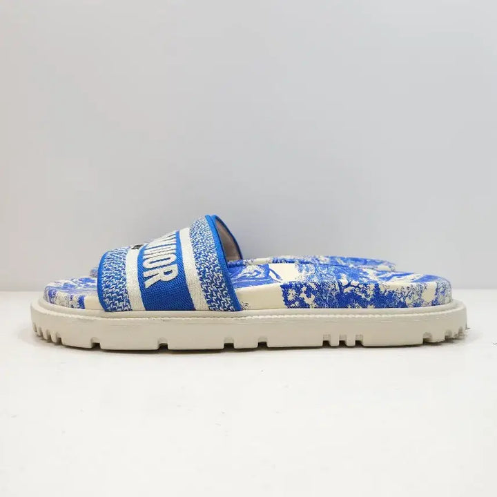 [BUNJANG] Dior Dway Slide Mules Blue Toile de Jouy Women&