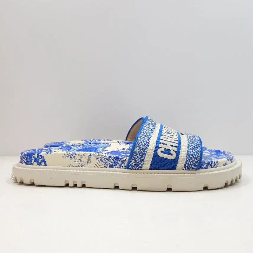 [BUNJANG] Dior Dway Slide Mules Blue Toile de Jouy Women&