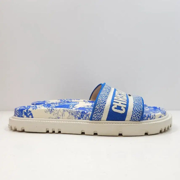 [BUNJANG] Dior Dway Slide Mules Blue Toile de Jouy Women&