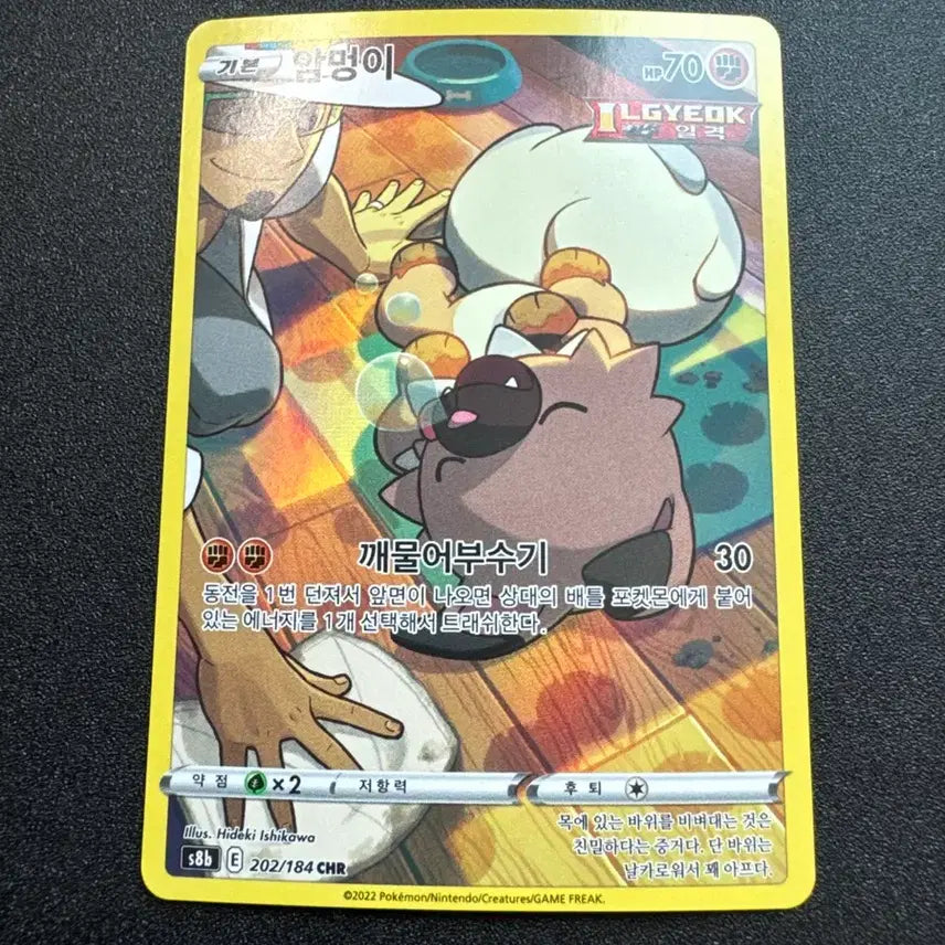 [BUNJANG] Lycanroc CHR S-Rank Trading Card / 포켓몬) 암멍이 CHR S급