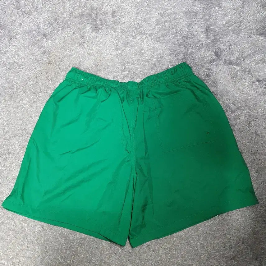 [BUNJANG] Nike Woven Lined Shorts Green XL / 나이키 반바지 우븐 라인드 쇼츠 그린 xl