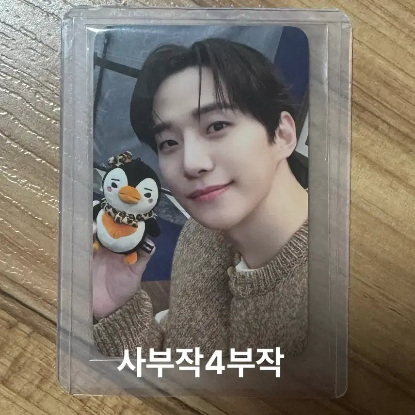 [BUNJANG] Lee Junho Ppaeng Ppaeng Photocard / 이준호 펭펭이 팝업 온라인 5만원 특전 포토카드 펭펭이 포카