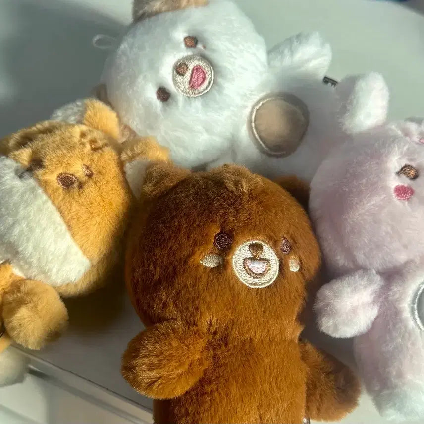 [BUNJANG] Day6 "My Day" Bundle Set / 데이식스 쁘멀 일괄