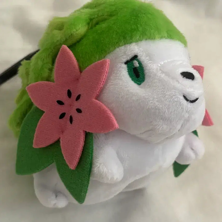 [BUNJANG] Pokemon Plush Toy - Shaymin (Land Form) with Sound Feature / 포켓몬스터 봉제인형 사운드 인형 쉐이미(랜드폼)