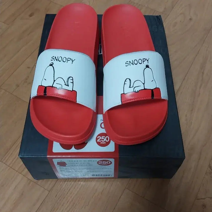 [BUNJANG] Snoopy Slippers 250mm / 스누피 슬리퍼 250mm