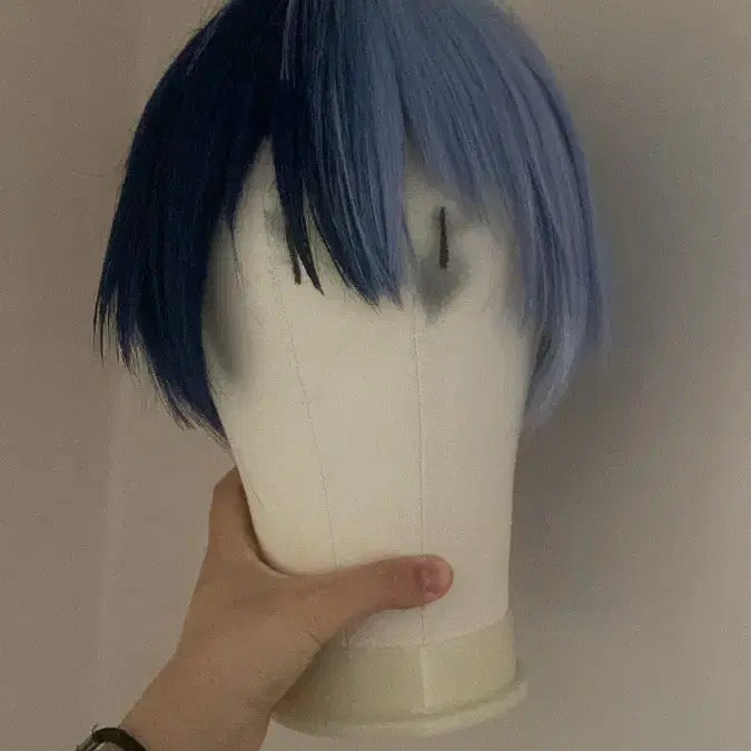 [BUNJANG] Aoyagi Toya Cosplay Wig / 프로세카 프세카 아오야기 토우야 코스프레 가발 판매