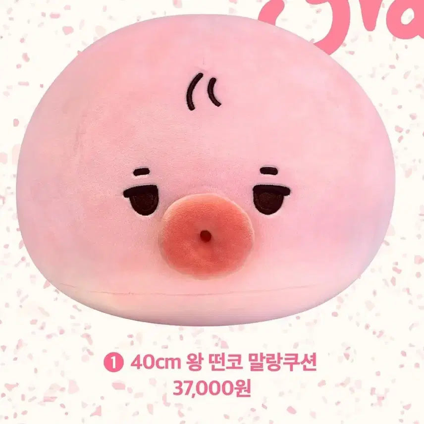[BUNJANG] The Boyz Sunwoo Ddanko 40cm Doll / 왕떤코 더보이즈 선우 인형 떤코 40cm
