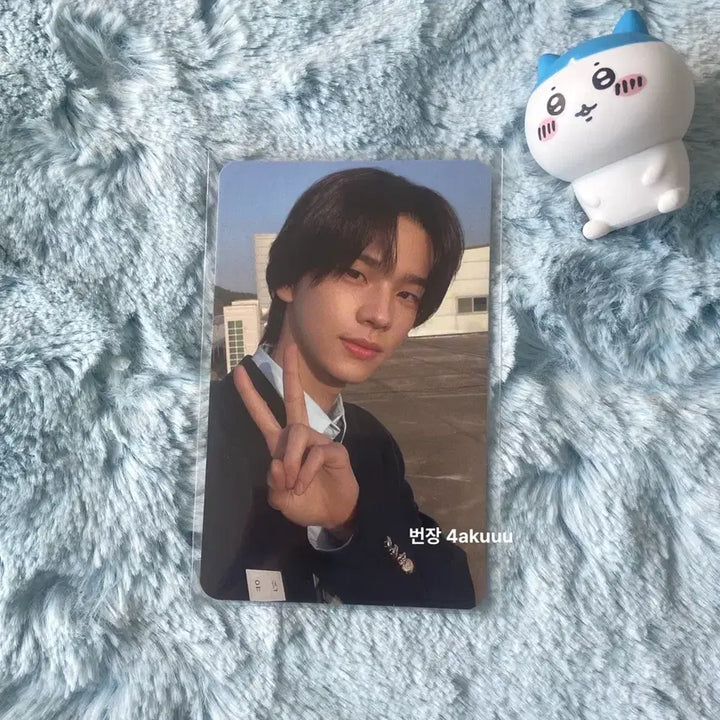 [BUNJANG] TWS Shinyu First Meeting Sparkling Blue Paster Photocard / 투어스 신유 첫만남 sparkling blue 파스테 포카 양도