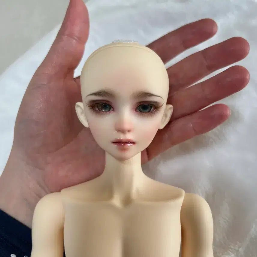 [BUNJANG] Dolls &amp; Co MSD Male Dain BJD Doll / 구체관절인형 돌스앤 msd 남아 데인