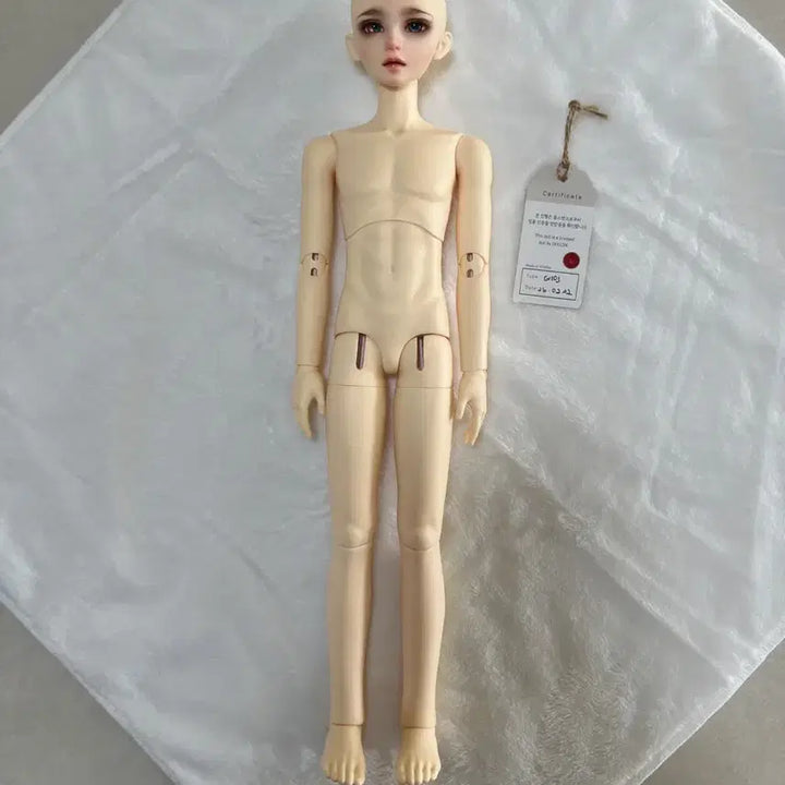 [BUNJANG] Dolls &amp; Co MSD Male Dain BJD Doll / 구체관절인형 돌스앤 msd 남아 데인