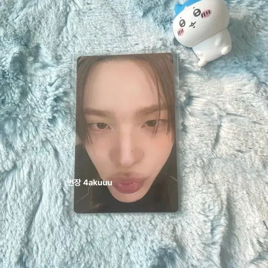 [BUNJANG] TWS Shinyu Weverse Showcase POB Photocard / 투어스 신유 얼빡 no trageny 위버스 쇼케이스 특전포카 양도