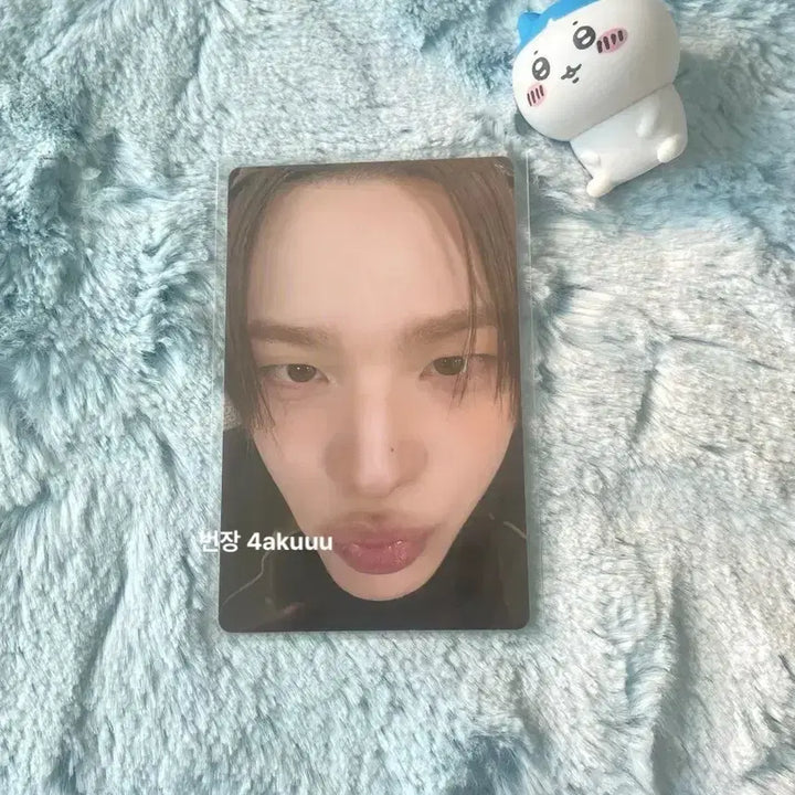 [BUNJANG] TWS Shinyu Weverse Showcase POB Photocard / 투어스 신유 얼빡 no trageny 위버스 쇼케이스 특전포카 양도