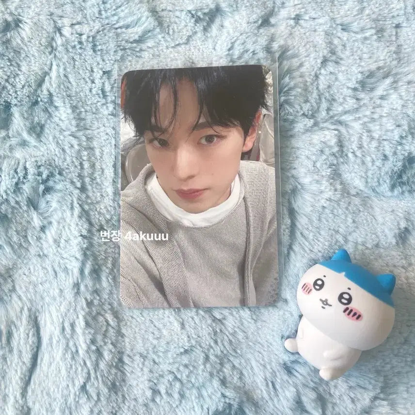 [BUNJANG] NCT WISH YUSHI Steady Music Korea Photocard / 엔시티위시 유우시 스테디 위드뮤 포카양도