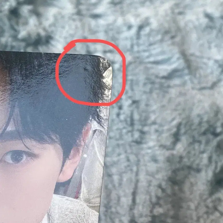 [BUNJANG] NCT WISH YUSHI Steady Music Korea Photocard / 엔시티위시 유우시 스테디 위드뮤 포카양도