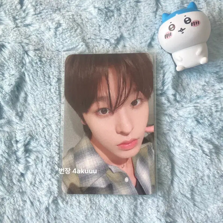 [BUNJANG] NCT WISH Riku POP-UP My Music Photocard / 엔시티위시 리쿠 팝팝 마이뮤직 포카 양도