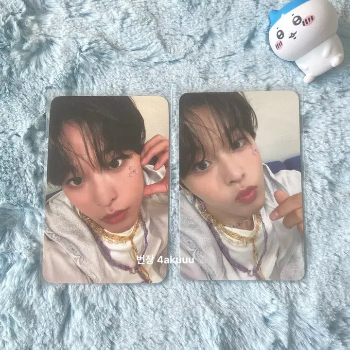 [BUNJANG] NCT WISH Riku Songbird Photocard Bundle Set / 엔시티위시 리쿠 송버드 포카 일괄 양도