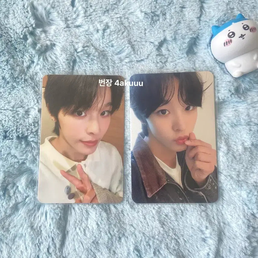 [BUNJANG] NCT WISH Riku Wish Photocard Bundle Set / 엔시티위시 리쿠 위시 포카 일괄양도