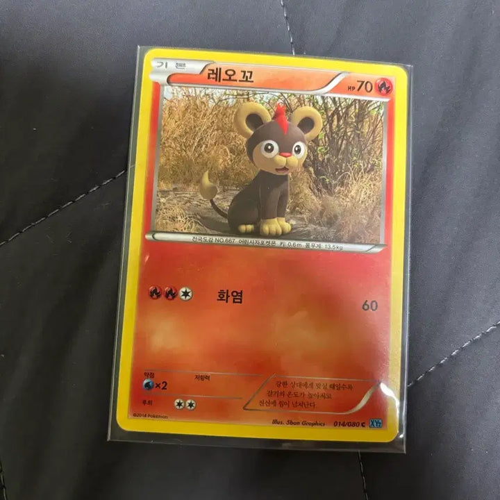 [BUNJANG] 2014 Leo Co. Ancient Card / [포켓몬카드] 레오꼬 2014 고대 카드