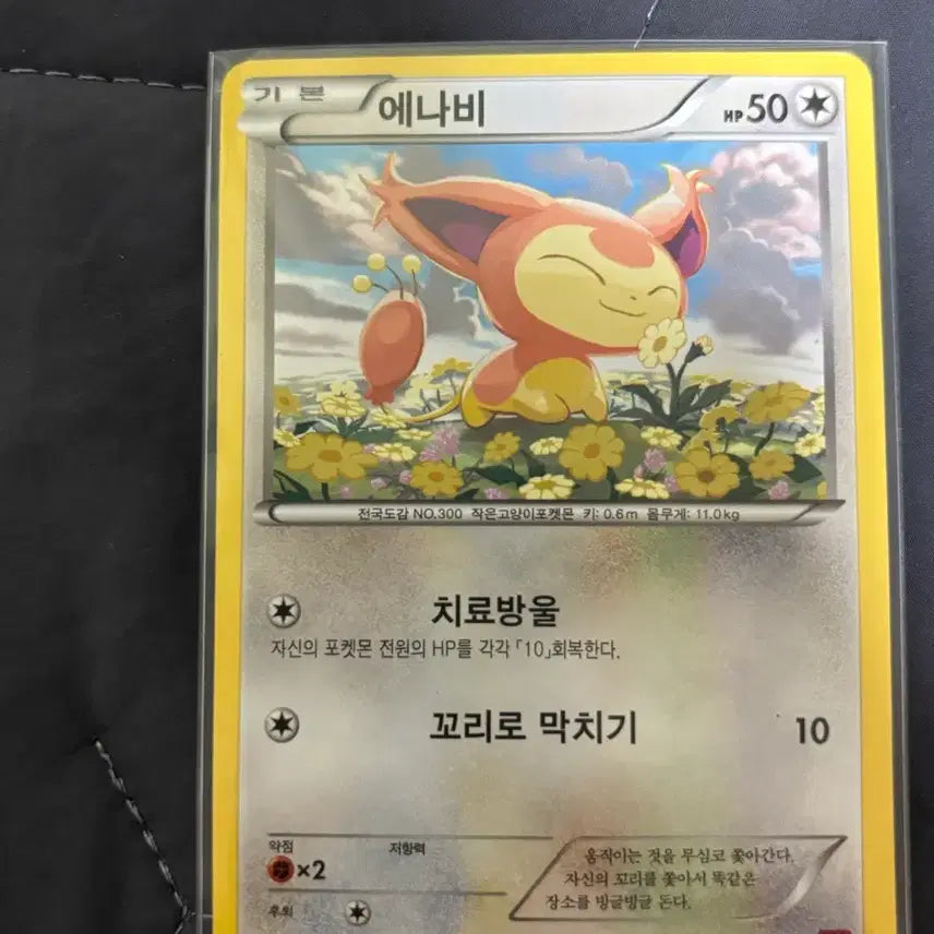 [BUNJANG] 2014 Entei Ancient Card / [포켓몬카드] 에나비 2014 고대 카드