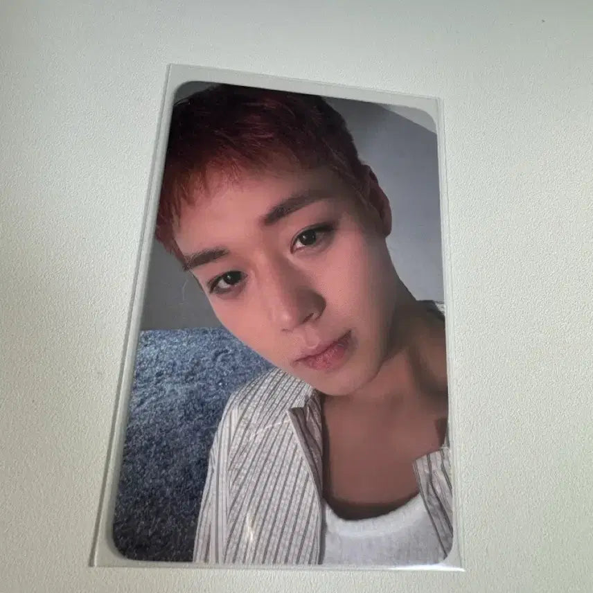 [BUNJANG] Park Ji Hoon (JBJ95) POB Photocard / 박지훈 플브 포카