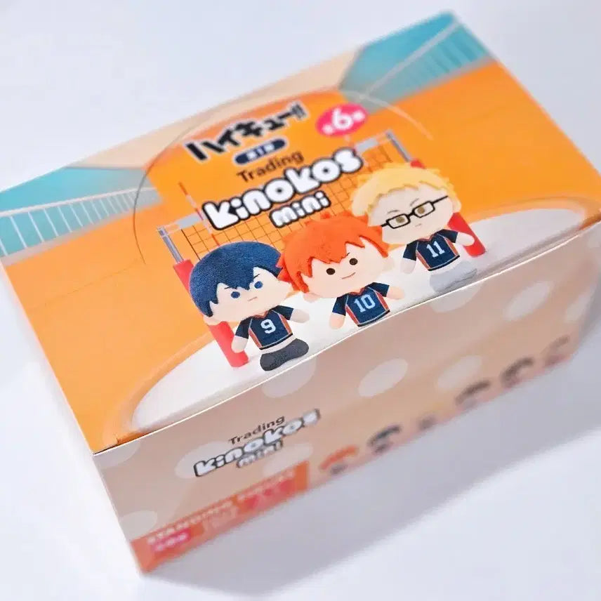 [BUNJANG] Haikyuu!! Mini Box Nekoma Karasuno Oikawa / 하이큐 미니 박스 네코마 카라스노 오이카와