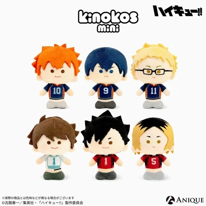 [BUNJANG] Haikyuu!! Mini Box Nekoma Karasuno Oikawa / 하이큐 미니 박스 네코마 카라스노 오이카와