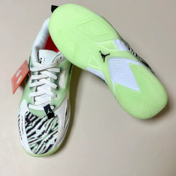 [BUNJANG] Nike Jordan HEIR PF 250 / [ 새상품 ] 나이키 조던 HEIR PF 250