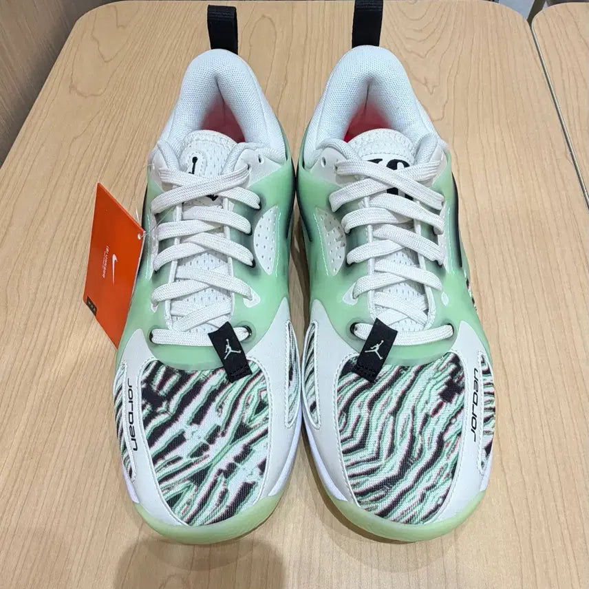 [BUNJANG] Nike Jordan HEIR PF 250 / [ 새상품 ] 나이키 조던 HEIR PF 250