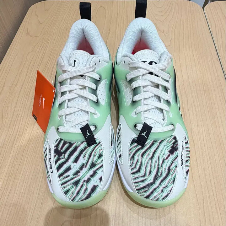 [BUNJANG] Nike Jordan HEIR PF 250 / [ 새상품 ] 나이키 조던 HEIR PF 250
