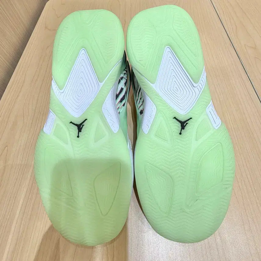 [BUNJANG] Nike Jordan HEIR PF 250 / [ 새상품 ] 나이키 조던 HEIR PF 250