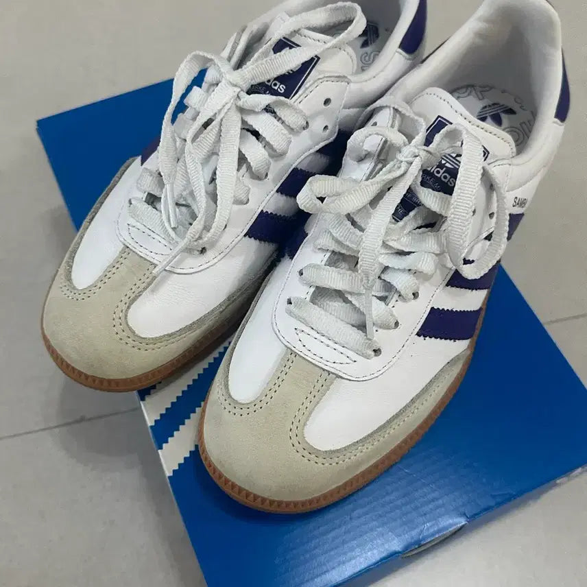 [BUNJANG] Adidas Samba OG "White Purple Energy Ink" (240mm) / 1회착용 무료배송/ 아디다스 삼바 OG 화이트 퍼플 에너지 잉크 240