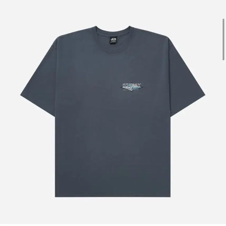 [BUNJANG] Stussy Pigment Worldwide Short Sleeve T-Shirt / xl 스투시 피그먼트 월드와이드 반팔
