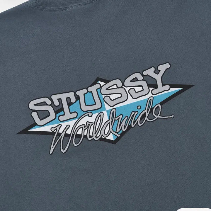 [BUNJANG] Stussy Pigment Worldwide Short Sleeve T-Shirt / xl 스투시 피그먼트 월드와이드 반팔