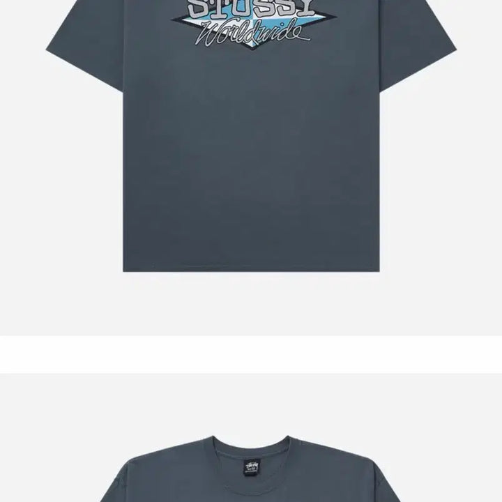 [BUNJANG] Stussy Pigment Worldwide Short Sleeve T-Shirt / xl 스투시 피그먼트 월드와이드 반팔