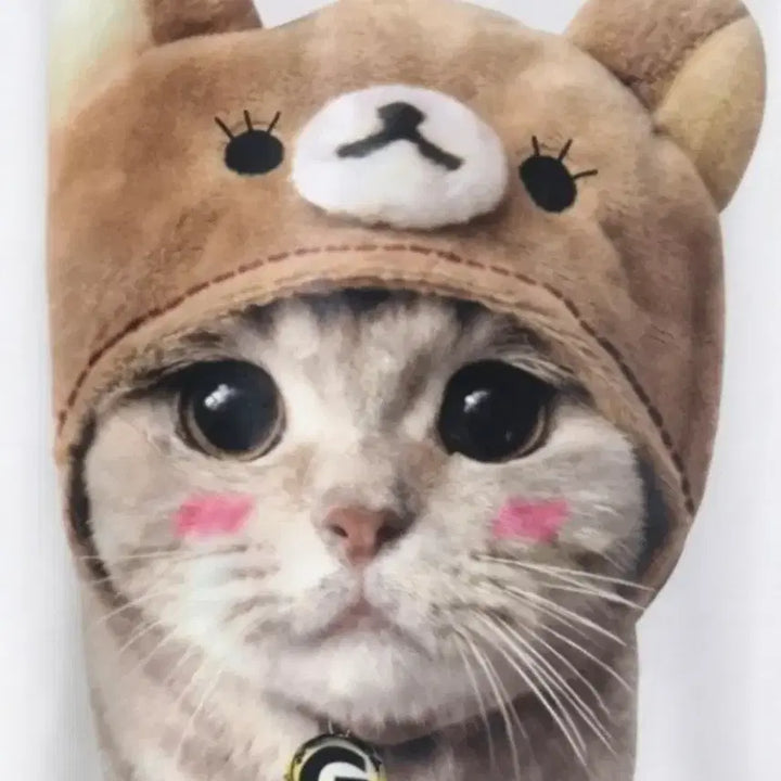 [BUNJANG] G-STELLA Cat Character Long Sleeve T-Shirt Dress / 고양이 캐릭터 프린팅 롱 슬리브 원피스 박시핏