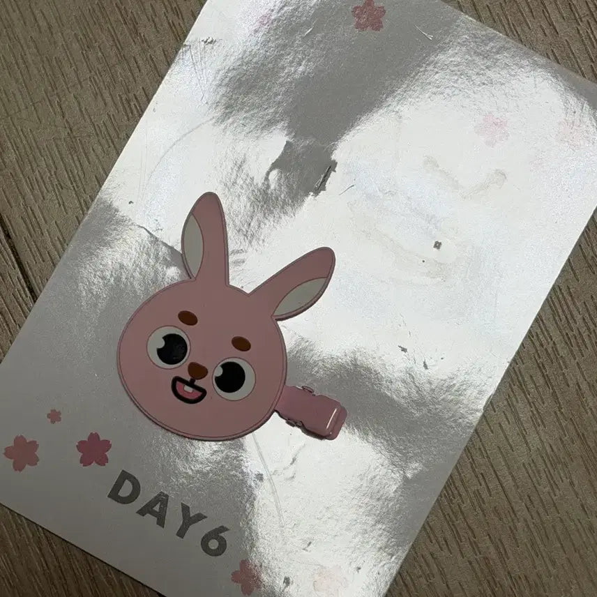 [BUNJANG] DAY6 Wonpil Hairpin / 원필 헤어핀 팝니다