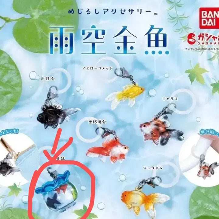[BUNJANG] Bandai Aquarium Goldfish Gacha / 반다이 어항 금붕어 가챠