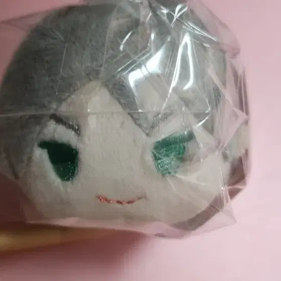 [BUNJANG] Haiba Lev Plush / 하이바 리에프 누이