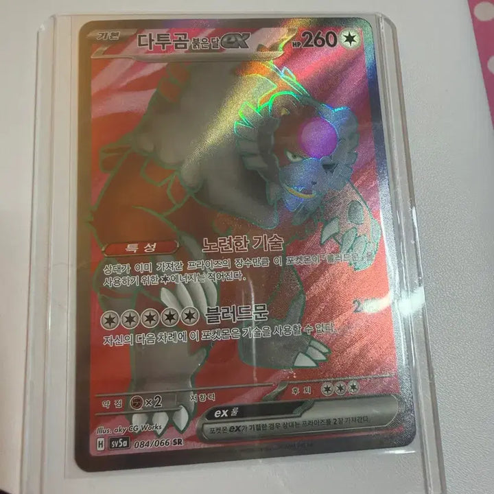 [BUNJANG] Datugom SR Card / 다투곰 sr