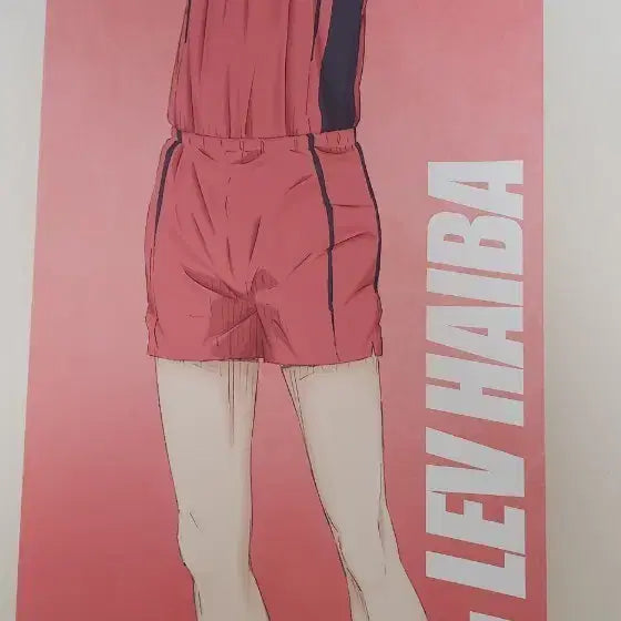 [BUNJANG] Haiba Lief Poster / 하이바 리에프 포스터