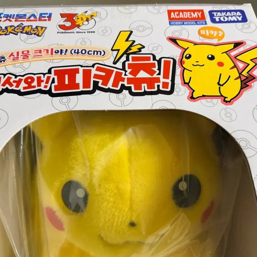 [BUNJANG] Pokemon 30th Anniversary Chubby Pikachu Plush Toy (Sealed) / [미개봉] 포켓몬 30주년 뚱카츄 어서와 피카츄 인형 판매해요