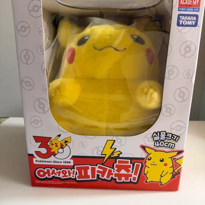 [BUNJANG] Pokemon 30th Anniversary Chubby Pikachu Plush Toy (Sealed) / [미개봉] 포켓몬 30주년 뚱카츄 어서와 피카츄 인형 판매해요