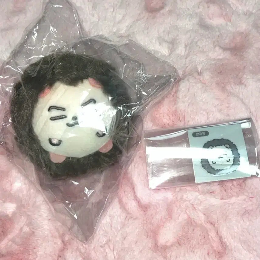 [BUNJANG] ENHYPEN Jay Doll Pyojokjong / 엔하이픈 제이 인형 뾰족쫑 원가 양도 판매