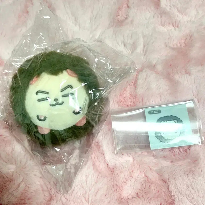[BUNJANG] ENHYPEN Jay Doll Pyojokjong / 엔하이픈 제이 인형 뾰족쫑 원가 양도 판매